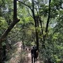 蠄蜍石 - 深圳市旅游 缩略图 5