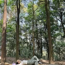 蠄蜍石 - 深圳市旅游 缩略图 4