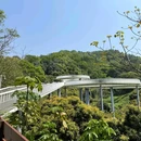 蠄蜍石 - 深圳市旅游 缩略图 9