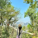 蠄蜍石 - 深圳市旅游 缩略图 6