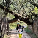 古蜀道-金牛道 - 广元市旅游 缩略图 6