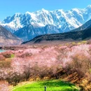 雅鲁藏布大峡谷 - 林芝市旅游 缩略图 2