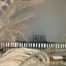 沏茶师(IFS国际金融中心店) - 成都市旅游 缩略图 9