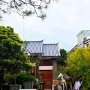 大理古城 - 大理白族自治州旅游 缩略图 3