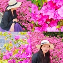 大理古城 - 大理白族自治州旅游 缩略图 1