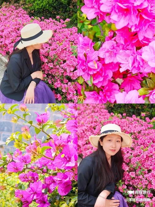 大理古城 - 大理白族自治州旅游