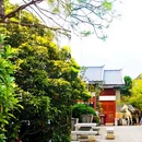 大理古城 - 大理白族自治州旅游 缩略图 8