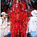 大理古城 - 大理白族自治州旅游 缩略图 9