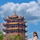 青春村樱花园 - 武汉市旅游 缩略图 6