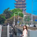 青春村樱花园 - 武汉市旅游 缩略图 8