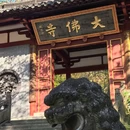 大佛寺风景名胜区-新昌县般若谷 - 绍兴市旅游 缩略图 9