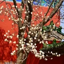 北京天坛东门亚朵酒店 - 北京市旅游 缩略图 2