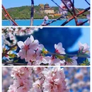 北京天坛东门亚朵酒店 - 北京市旅游 缩略图 7