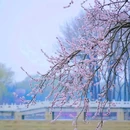 北京天坛东门亚朵酒店 - 北京市旅游 缩略图 8