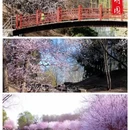 北京天坛东门亚朵酒店 - 北京市旅游 缩略图 9