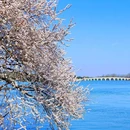 北京天坛东门亚朵酒店 - 北京市旅游 缩略图 6