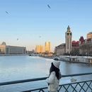 天津站 - 天津旅游 缩略图 2