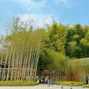 竹艺公园 - 成都市旅游 缩略图 3