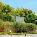 竹艺公园 - 成都市旅游 缩略图 9