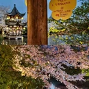 中国院子·梦溪苑 - 杭州市旅游 缩略图 4