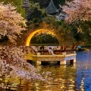 中国院子·梦溪苑 - 杭州市旅游 缩略图 2