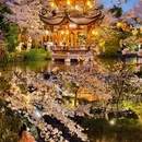 中国院子·梦溪苑 - 杭州市旅游 缩略图 1