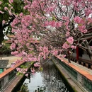 宝墨园景区 - 广州旅游 缩略图 5