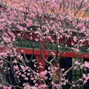 宝墨园景区 - 广州旅游 缩略图 2