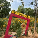 东环街道 - 广州旅游 缩略图 1