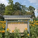 东环街道 - 广州旅游 缩略图 3