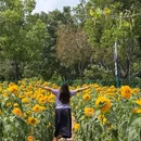 东环街道 - 广州旅游 缩略图 7