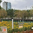 东环街道 - 广州旅游 缩略图 6