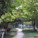 南京城墙富贵山登城口 - 南京市旅游 缩略图 8