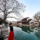 鲁迅故里 - 绍兴旅游 缩略图 6