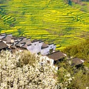 篁岭景区 - 上饶市旅游 缩略图 5
