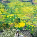 篁岭景区 - 上饶市旅游 缩略图 4