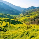 篁岭景区 - 上饶市旅游 缩略图 2