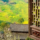 篁岭景区 - 上饶市旅游 缩略图 1