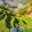 篁岭景区 - 上饶市旅游 缩略图 8