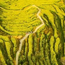 篁岭景区 - 上饶市旅游 缩略图 5