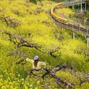城山沟景区 - 湖州市旅游 缩略图 3