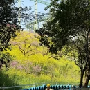 城山沟景区 - 湖州市旅游 缩略图 5