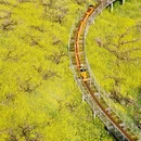 城山沟景区 - 湖州市旅游 缩略图 2