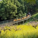 城山沟景区 - 湖州市旅游 缩略图 8
