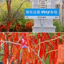 古德寺 - 武汉市旅游 缩略图 8