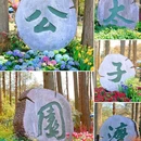 太子湾公园 - 杭州市旅游 缩略图 9