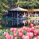 太子湾公园 - 杭州市旅游 缩略图 7