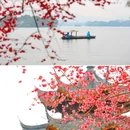 杭州西湖风景名胜区-长桥公园 - 杭州市旅游 缩略图 2