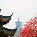 杭州西湖风景名胜区-长桥公园 - 杭州市旅游 缩略图 7
