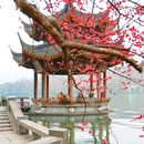 杭州西湖风景名胜区-长桥公园 - 杭州市旅游 缩略图 6